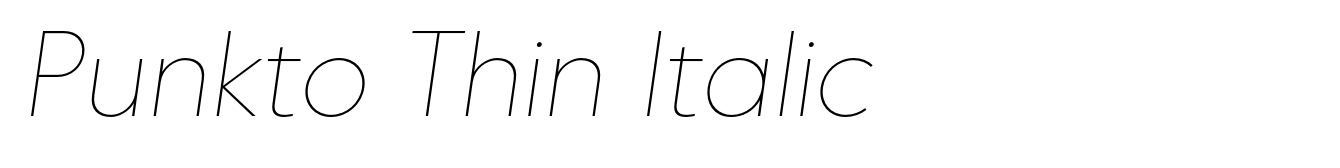 Punkto Thin Italic